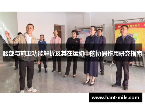 腰部与前卫功能解析及其在运动中的协同作用研究指南